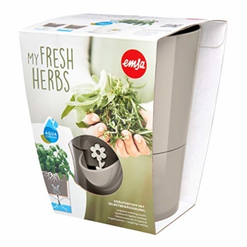 Emsa Kräutertopf für frische Kräuter, Selbstbewässerung, Wasserstandsanzeiger, Ø 13 cm, Seidengrau, Fresh Herbs, 517532 - 3