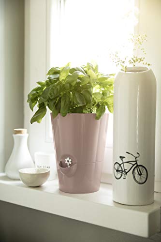 Emsa Kräutertopf für frische Kräuter, Selbstbewässerung, Wasserstandsanzeiger, Ø 13 cm, Seidengrau, Fresh Herbs, 517532 - 8